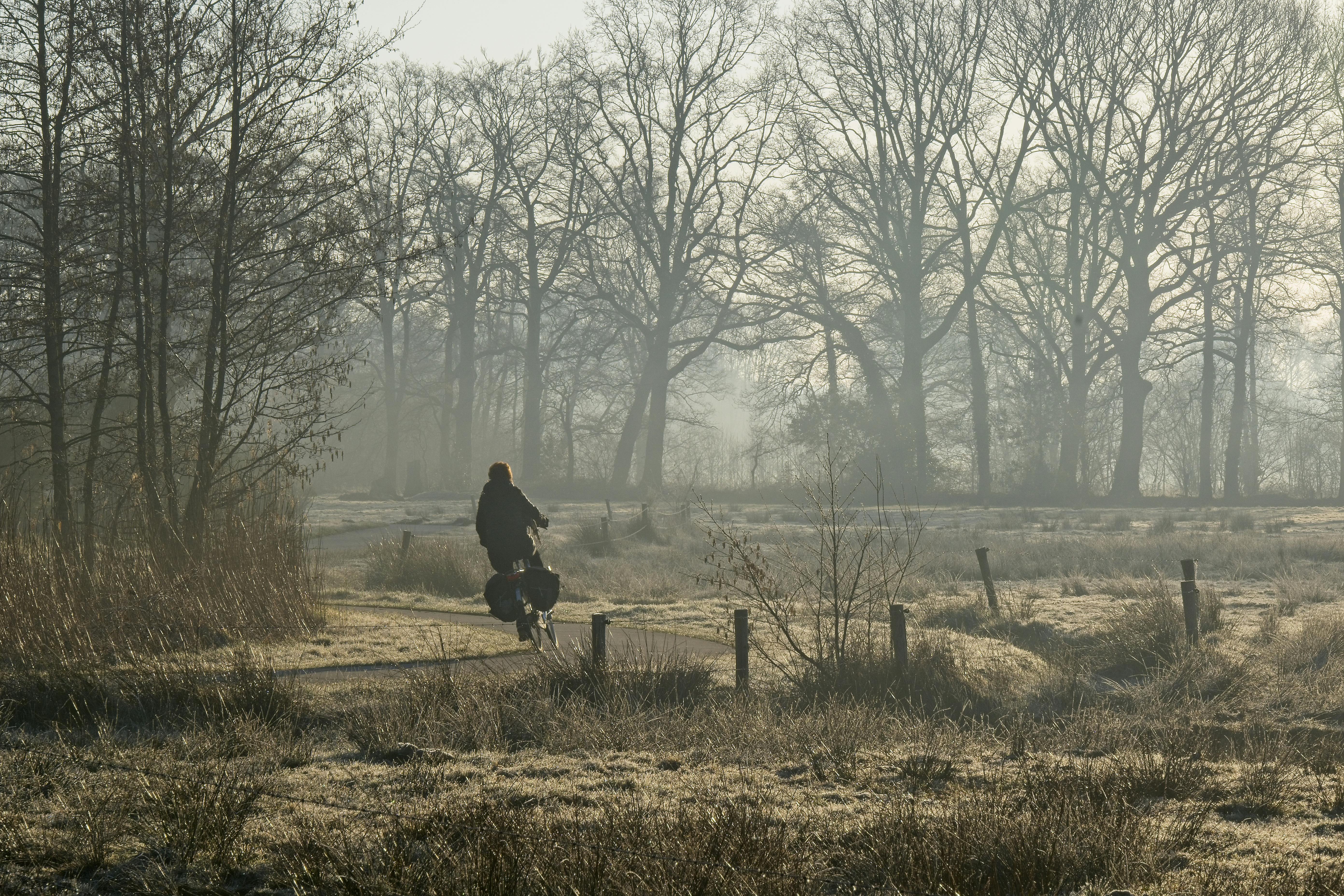 SEO optimaliseren in Assen met Iverium Software